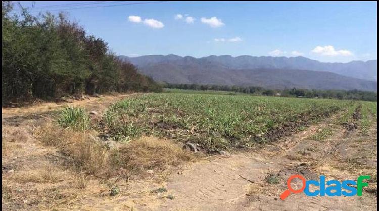 VENTA 11.5 HECTÁREAS EN LOS ORTICES COLIMA X HECTAREA