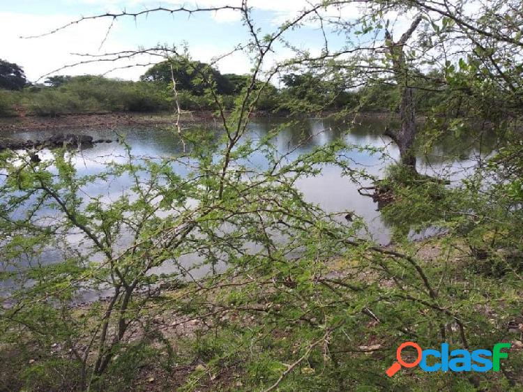 VENTA 6 HECTAREAS CON BORDO DE AGUA BUENAVISTA, CUAUHTÉMOC