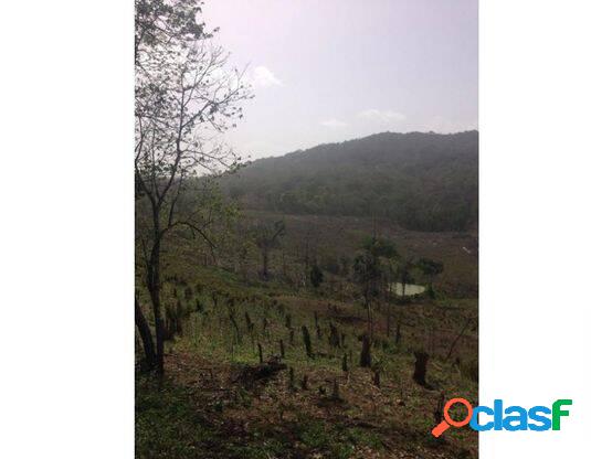 VENTA FINCA EN MAPARARÍ ESTADO FALCÓN