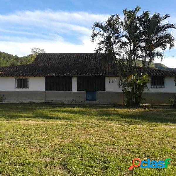 En venta fundo sector Taya, 34 hectáreas