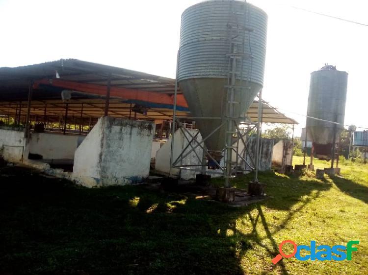 En venta granja porcina en Tinaquillo capacidad para 5000