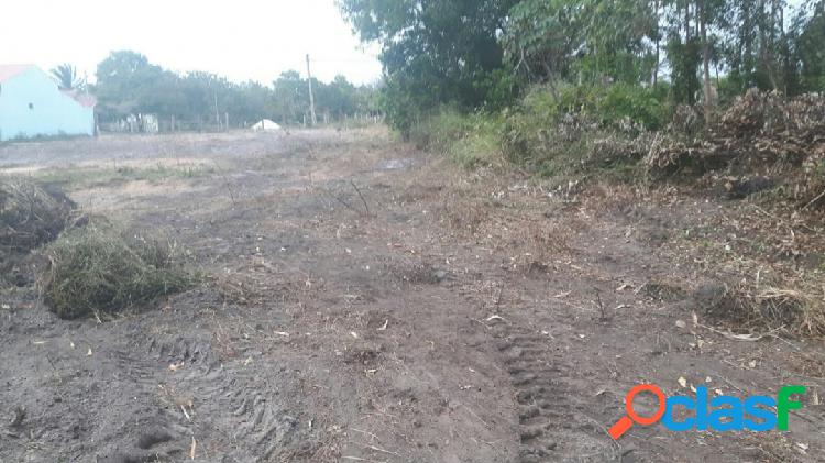 Terreno próximo ao centro de Alcobaça