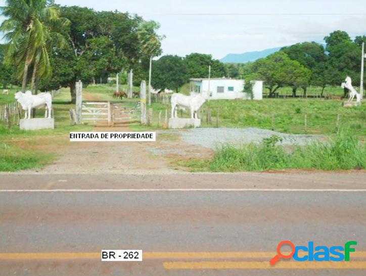 Fazenda para Pecuária, 7.900 hectares, Corumbá - MS