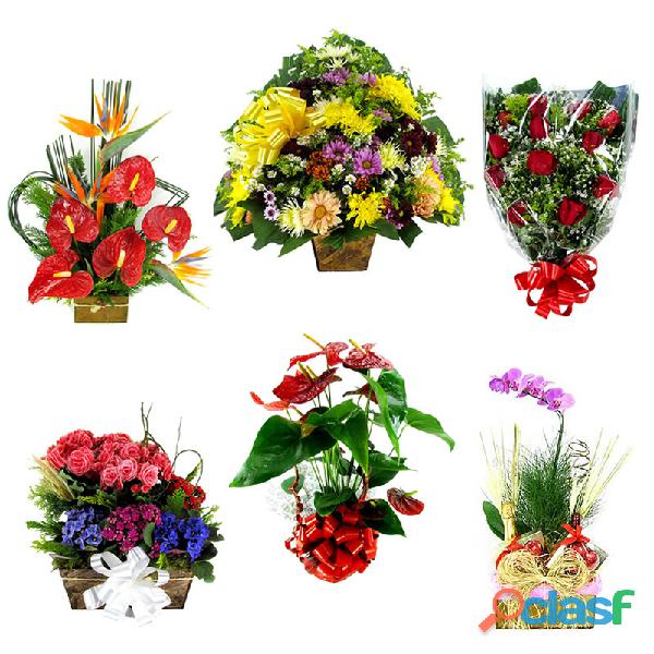 Floricultura flores cesta de café e coroas em Bom Jesus de