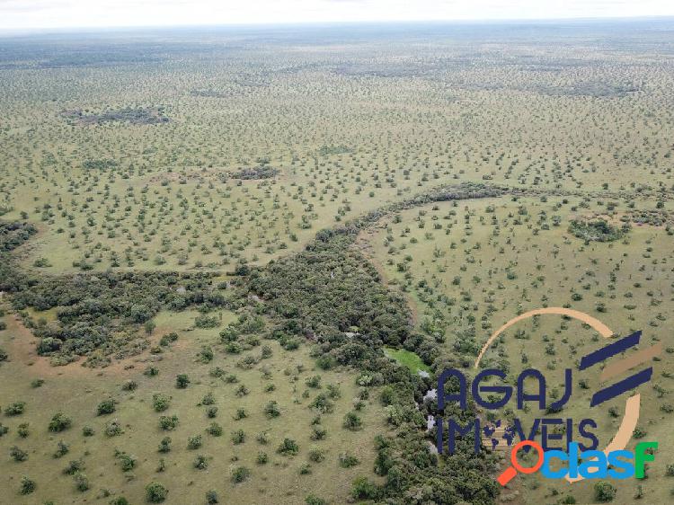FAZENDA EM COCALINHO-MT | 2.000 ALQ | PECUÁRIA