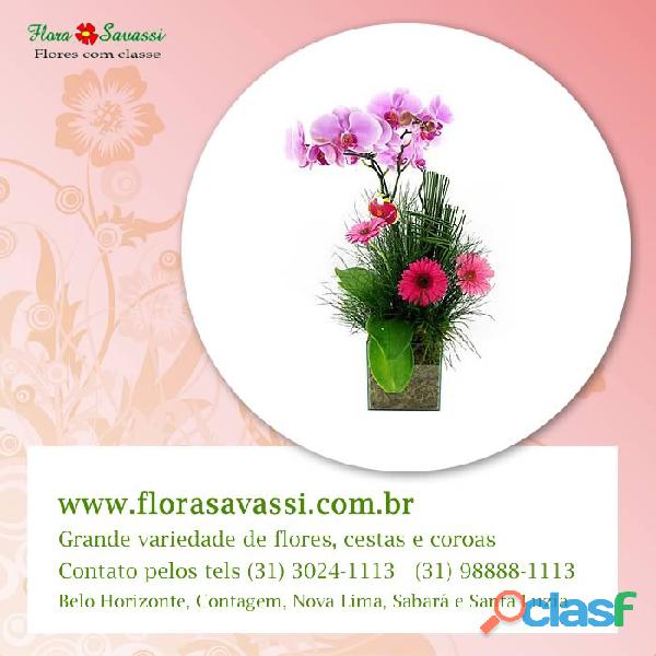 Orquídeas para Presente, entrega de Vasos de Orquídeas