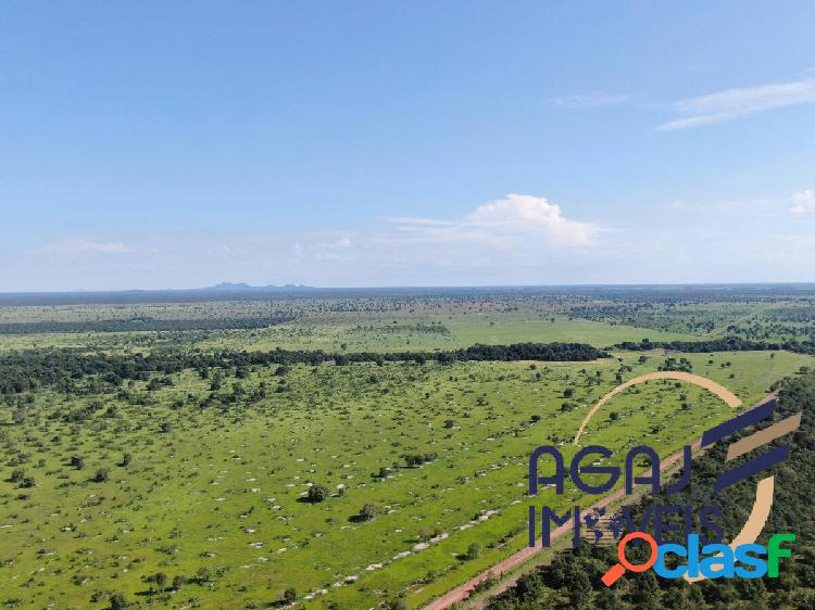 FAZENDA EM COCALINHO-MT | 310 ALQ | PECUÁRIA