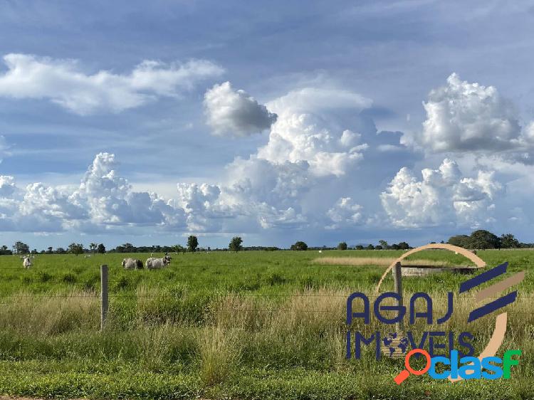 FAZENDA EM COCALINHO-MT | 440 ALQ | DUPLA APTIDÃO