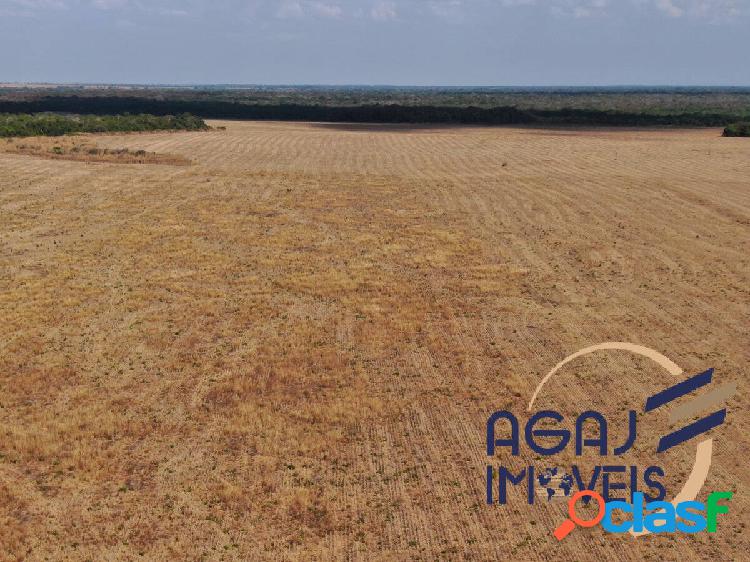 FAZENDA EM COCALINHO-MT | 80 ALQ | PECUÁRIA e LAVOURA