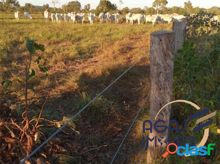 FAZENDA EM COCALINHO-MT | 90 ALQ | DUPLA APTIDÃO