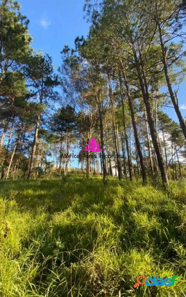 Terreno com área de 30.000 M² - São Roque - SP