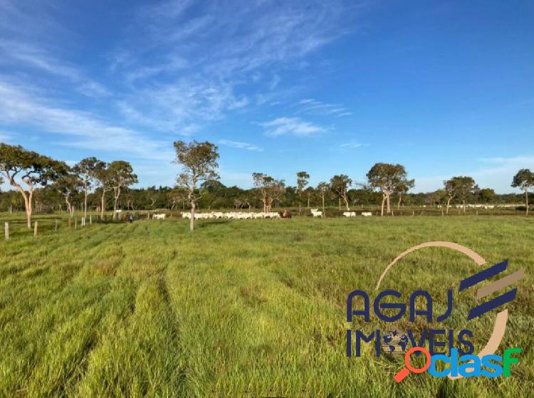 FAZENDA EM DOIS IRMÃOS DO TOCANTINS-TO | 151 ALQ |