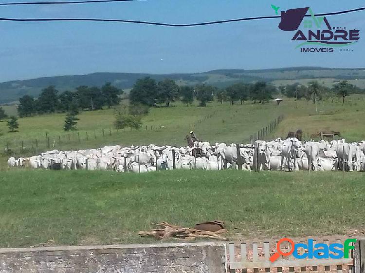 Fazenda, 45 alqueires, na região rural de Paranapanema/SP.