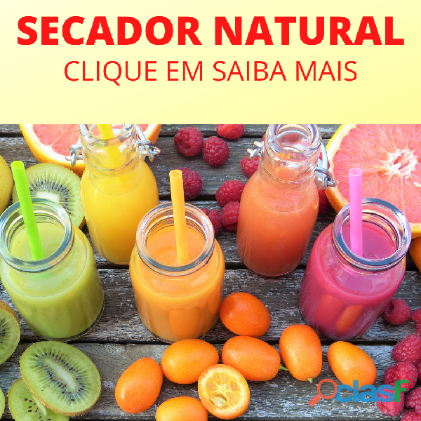 Detox Secador 100% Natural