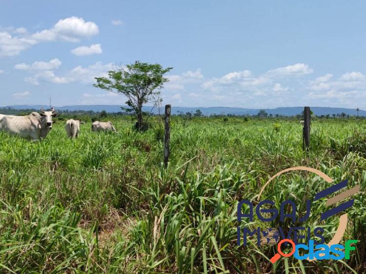 FAZENDA EM SÃO FELIX DO XINGU-PA | 3.160 ALQ | PECUÁRIA