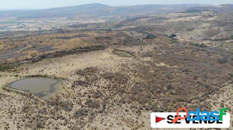 EN VENTA 463 HECTAREAS EN TOTOTLAN JALISCO