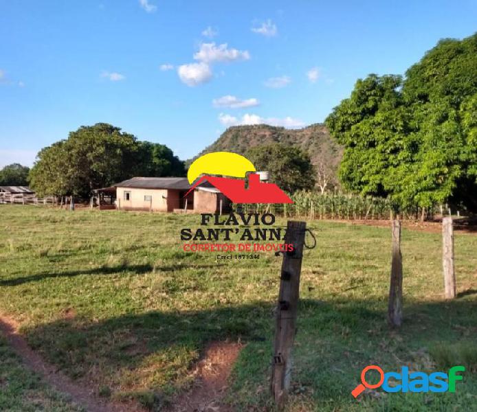 FAZENDA EM GURINHATÃ-MG | 35 ALQUEIRES | DUPLA APTIDÃO