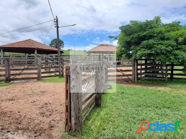 Ótima Fazenda entre Morrinhos e Buriti Alegre no município