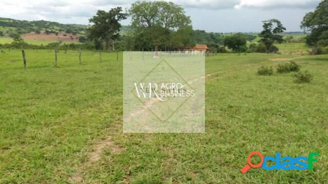 Fazenda Anicuns | 290,4 Hectares | Anicuns-GO