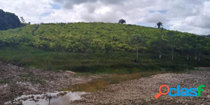 Fazenda para Venda no bairro Agua Soca vale do ribeira