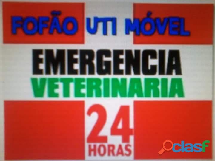 AMBULANCIA VETERINARIA UTI MÓVEL 24HS