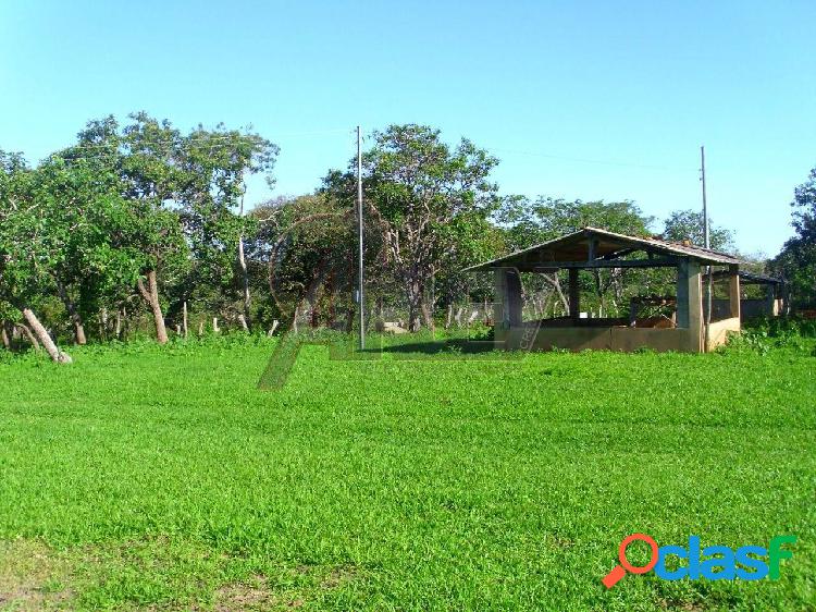 Mirabela|à venda Fazenda de Santa Helena com 193 hectares