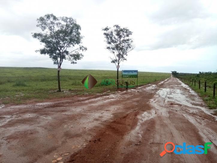 FAZ 2100 Ha P/ SOJA ARRENDADA A 9 SACAS P/HA SUL DO MA