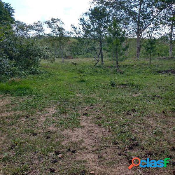 TERRENO EM PAU ARCADO CAMPO LIMPO PAULISTA - SP