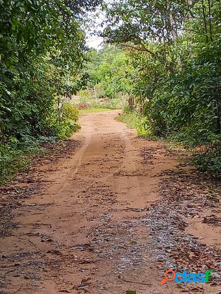 Terreno em Novo Airão no km 6 para venda 236 mil m²