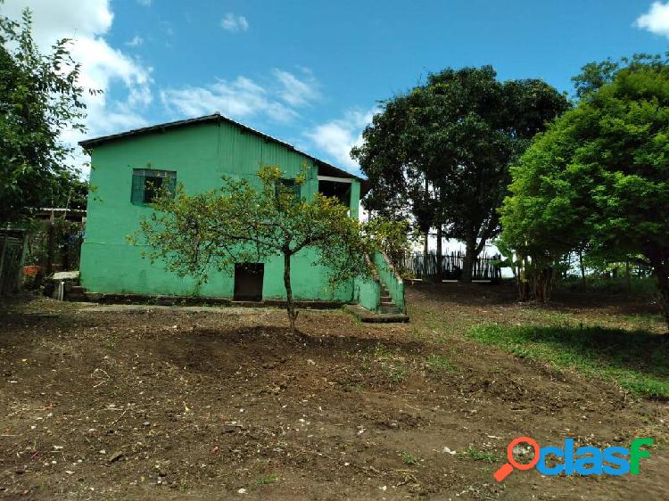 Chácara com árvores frutíferas e pomar em Guaratinguetá