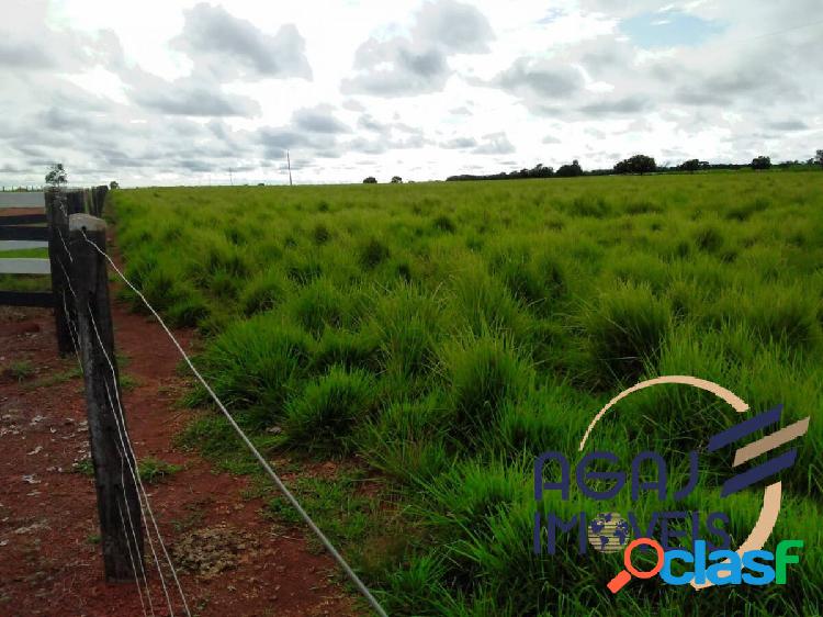 FAZENDA EM TABOCÃO DO TOCANTINS-TO | 205 ALQ | DUPLA