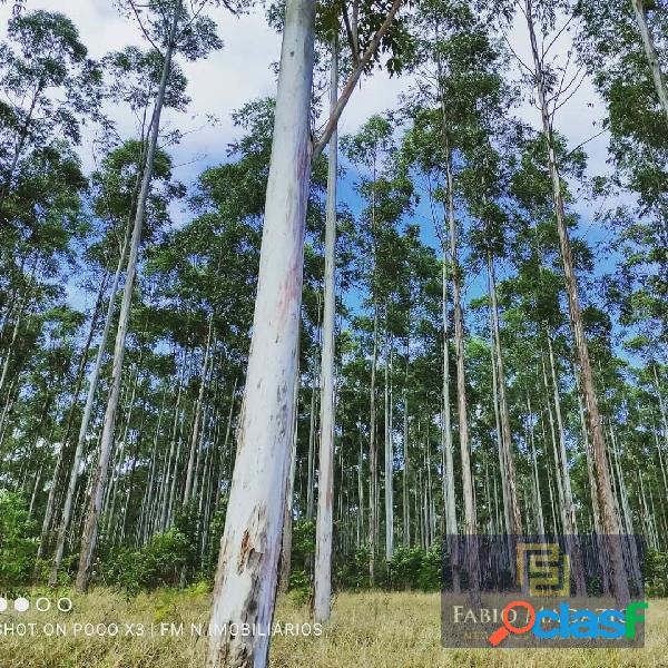 Fazenda a Venda em Eucaliptos Sorocaba SP