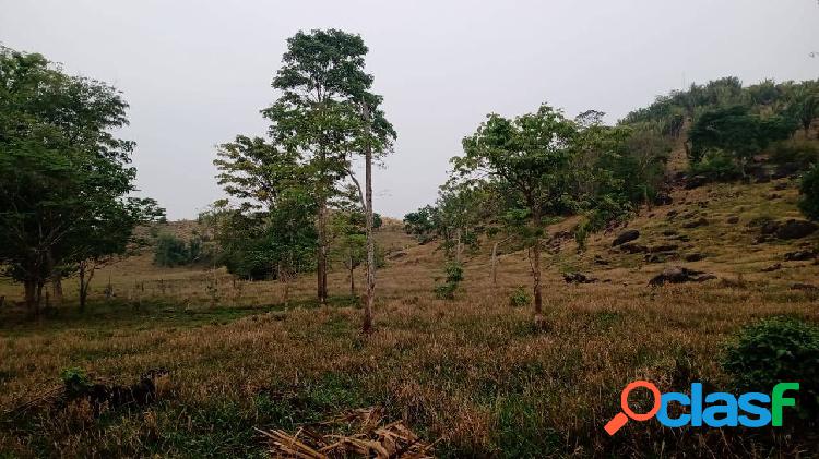 Vende-se Chácara um alqueire e meio formada com pomar