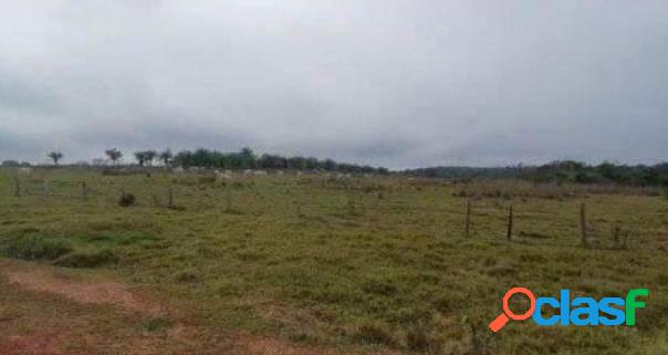 Vende-se Fazenda Entre Cacoal e Pimenta