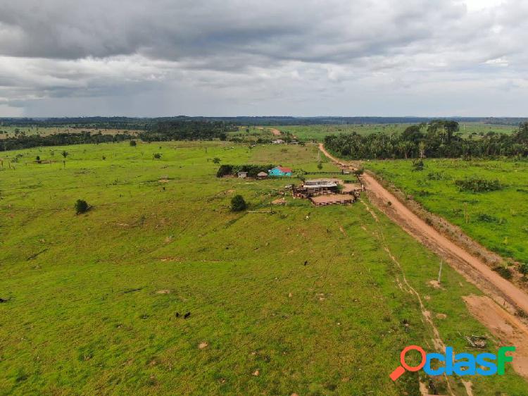 Vende-se Fazenda de 250 alqueires próxima a 5°bec