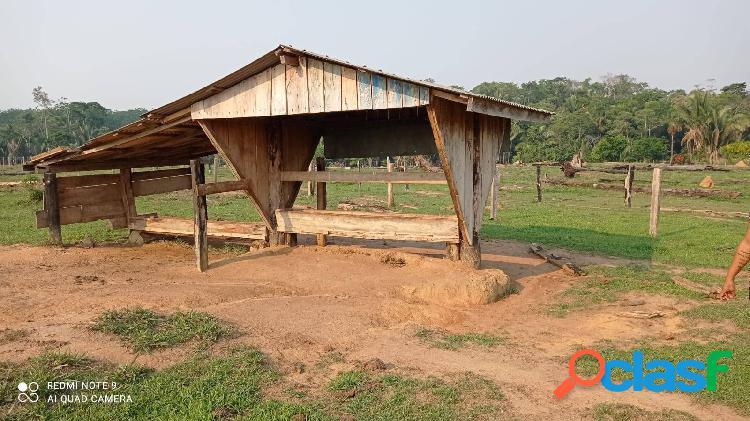 Vende-se chácara em monte negro,9 Alqueires e meio