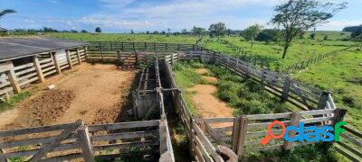 Vende-se terra de 30 alqueire toda formada em Jacinópolis