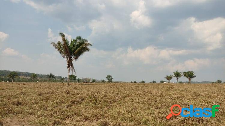 Vende-se uma fazenda de 549 alqueire em pimenta BUENO