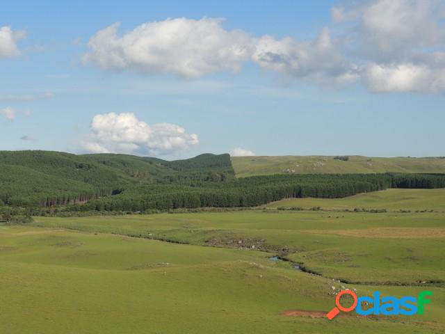 Excelente Área de 147 Hectares, para pecuária, São