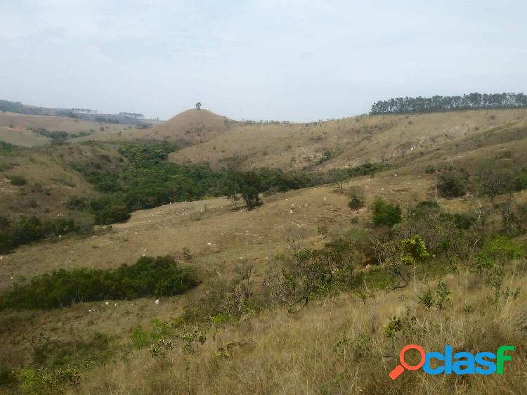 ÓTIMO TERRENO DE 25 HA EM PASSA TEMPO