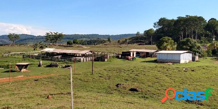 Vende-se fazenda de 218 alqueires em Cacaulândia 218