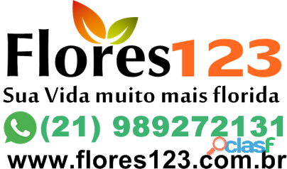 Floricultura São gonçalo 4119 2273