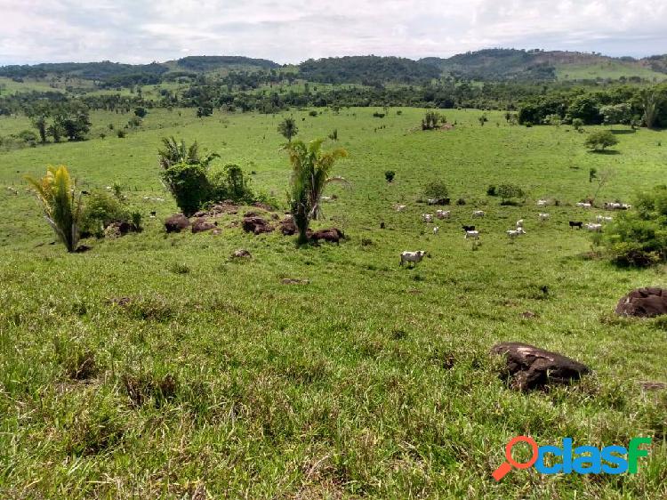 (Negocio de ocasião) Propriedade rural á 9 km de Jaru R$