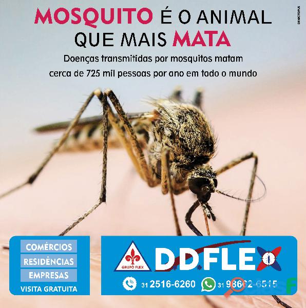 Dedetizadora de mosquitos em Belo Horizonte