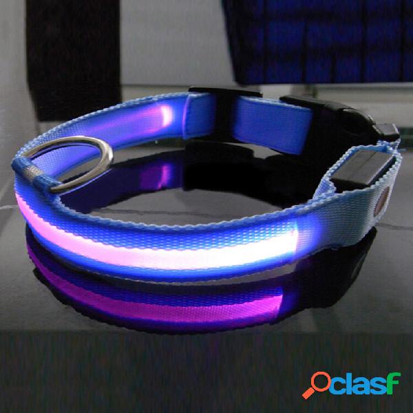 LED Pet Cachorro Coleira de Segurança Noturna Cachorro