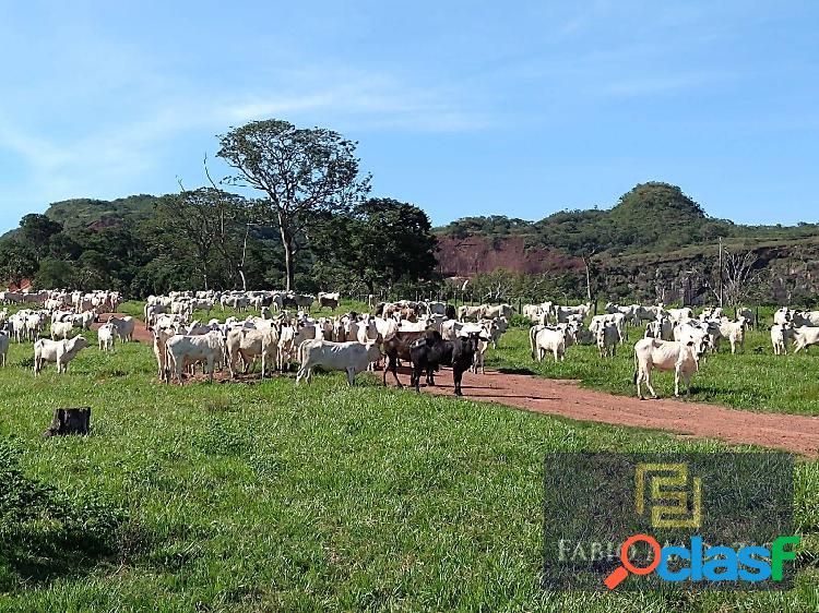 Fazenda a Venda em Rondonópolis MT Área Rural