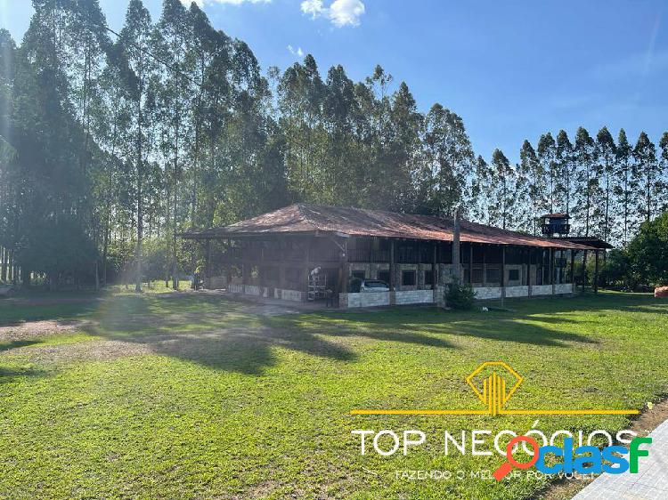 FAZENDA DUPLA APTIDÃO, REGIÃO OESTE DO PARÁ.