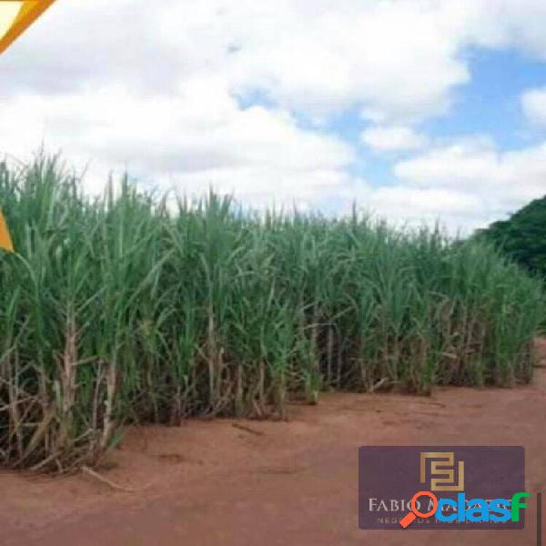 Fazenda a Venda em Leme SP Área Rural