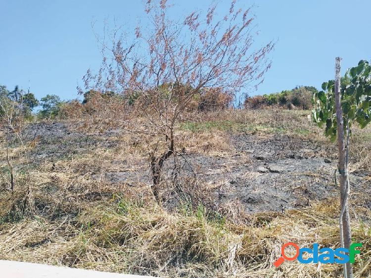 Terreno Paralelo a estrada dos cajueiros