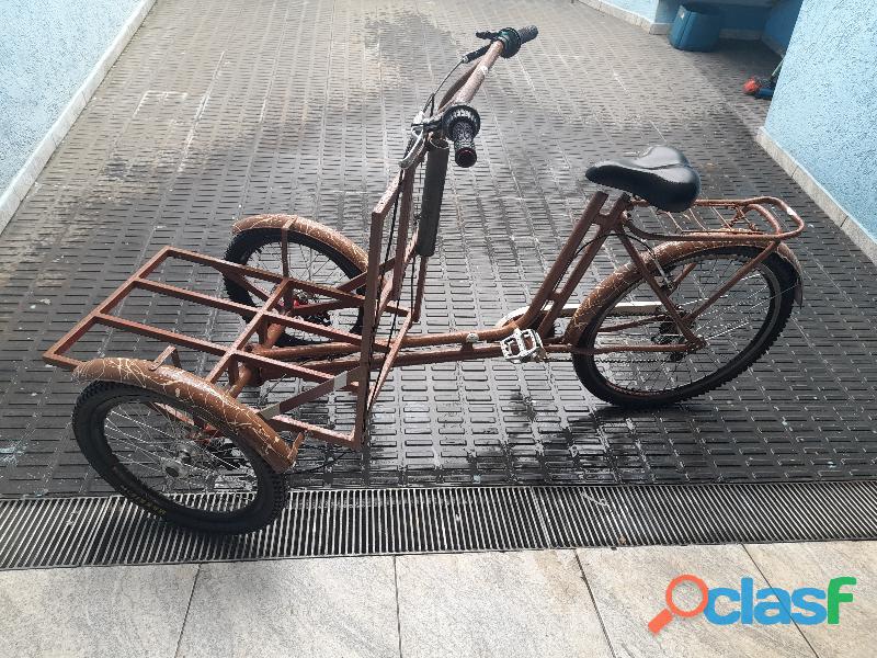 Bike triciclo de carga